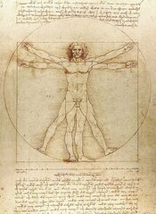 Vitruvian Man Notebook цена и информация | Самоучители | pigu.lt