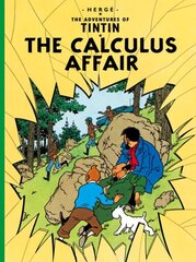 Calculus Affair цена и информация | Книги для подростков  | pigu.lt