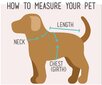 Lietpaltis-kombinezonas šunims Chester, rudas kaina ir informacija | Drabužiai šunims | pigu.lt