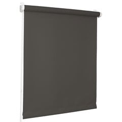 Roletas Midi Bojanek 85x150 cm kaina ir informacija | Roletai | pigu.lt