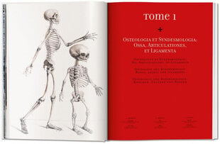 Bourgery. Atlas of Human Anatomy and Surgery XL kaina ir informacija | Enciklopedijos ir žinynai | pigu.lt