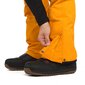Slidinėjimo kelnės vyrams Horsefeathers, oranžinės цена и информация | Vyriškа slidinėjimo apranga | pigu.lt