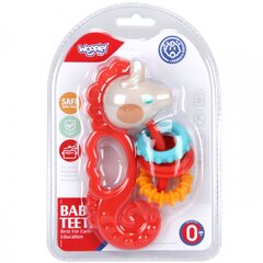 Sensorinis žaislas 2in1, Woopie kaina ir informacija | Žaislai kūdikiams | pigu.lt
