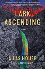 Lark Ascending kaina ir informacija | Fantastinės, mistinės knygos | pigu.lt