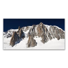 Reprodukcija Kalnų sniego peizažas kaina ir informacija | Reprodukcijos, paveikslai | pigu.lt