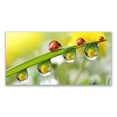 Reprodukcija Blatt ladybird rasa цена и информация | Репродукции, картины | pigu.lt