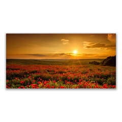 Reprodukcija Gėlės ir saulėlydis kaina ir informacija | Reprodukcijos, paveikslai | pigu.lt