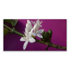 Reprodukcija Gėlių augalai kaina ir informacija | Reprodukcijos, paveikslai | pigu.lt