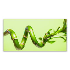 Reprodukcija Augalų bambuko vamzdis kaina ir informacija | Reprodukcijos, paveikslai | pigu.lt