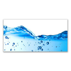 Reprodukcija Vanduo kaina ir informacija | Reprodukcijos, paveikslai | pigu.lt