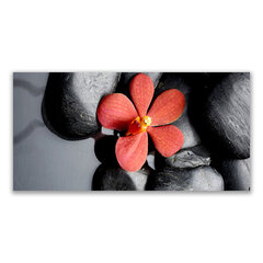 Reprodukcija Gėlių ir akmenų menas kaina ir informacija | Reprodukcijos, paveikslai | pigu.lt