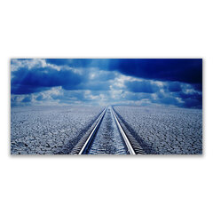 Reprodukcija Geležinkelio bėgiai kaina ir informacija | Reprodukcijos, paveikslai | pigu.lt
