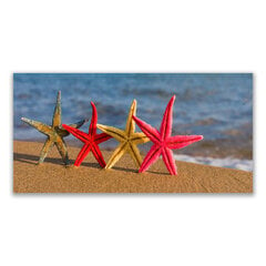 Reprodukcija Jūros žvaigždės kaina ir informacija | Reprodukcijos, paveikslai | pigu.lt