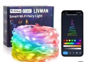 Светодиодные умные bluetooth-гирлянды с приложением LIVMAN FTT-P100V05U, 10M цена и информация | Гирлянды | pigu.lt