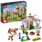 41746 LEGO Friends Horse Training ir pliušinė pagalvė Katė, 50 cm kaina ir informacija | Konstruktoriai ir kaladėlės | pigu.lt