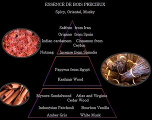 Tualetinis vanduo Cigar Collection Essence De Bois Precioux EDT vyrams, 75 ml цена и информация | Мужские духи | pigu.lt