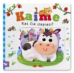 Kas čia slepiasi? Kaime цена и информация | Книги для самых маленьких | pigu.lt