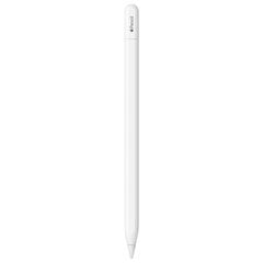 Apple Pencil (USB-C) - MUWA3ZM/A kaina ir informacija | Planšečių, el. skaityklių priedai | pigu.lt