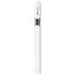 Apple Pencil (USB-C) - MUWA3ZM/A kaina ir informacija | Planšečių, el. skaityklių priedai | pigu.lt