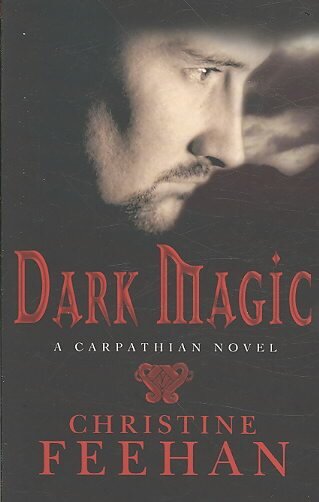 Dark Magic: Number 4 in series kaina ir informacija | Fantastinės, mistinės knygos | pigu.lt