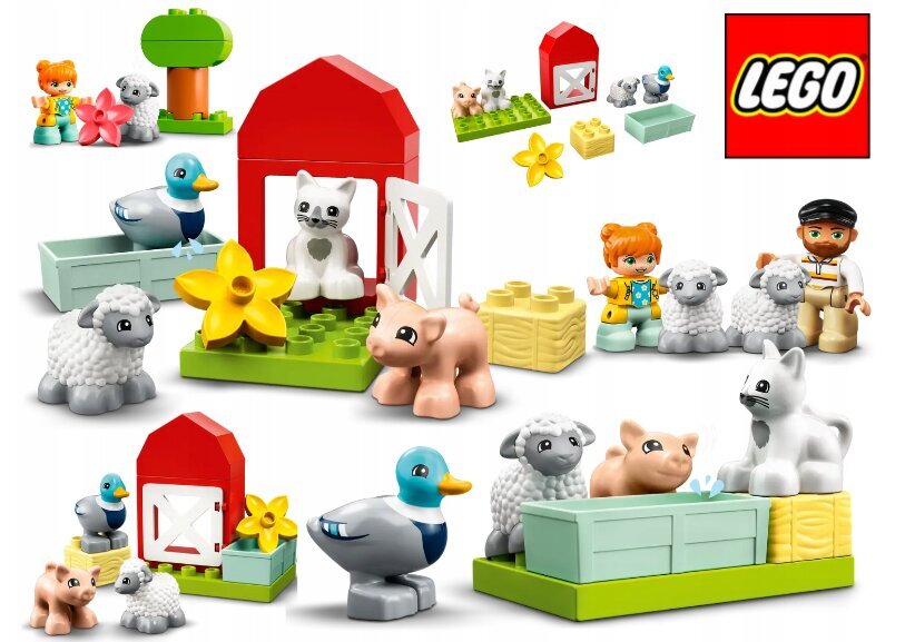 LEGO® Duplo konstruktorių rinkinys ir pliušinė pagalvė Katė kaina ir informacija | Konstruktoriai ir kaladėlės | pigu.lt