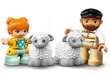 LEGO® Duplo konstruktorių rinkinys ir pliušinė pagalvė Katė kaina ir informacija | Konstruktoriai ir kaladėlės | pigu.lt