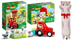 LEGO® Duplo konstruktorių rinkinys ir pliušinė pagalvė Katė цена и информация | Конструкторы и кубики | pigu.lt