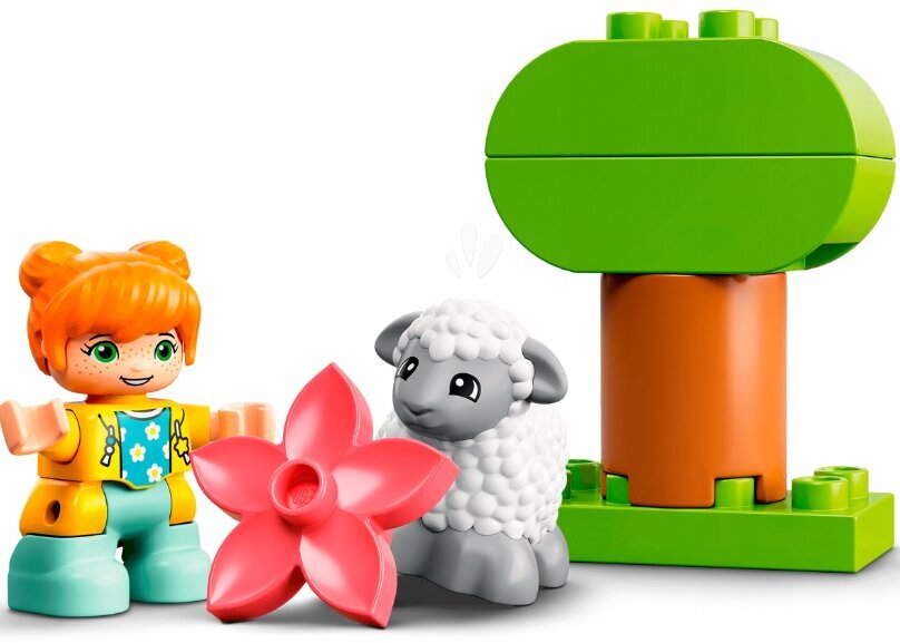 LEGO® Duplo konstruktorių rinkinys ir pliušinė pagalvė Katė kaina ir informacija | Konstruktoriai ir kaladėlės | pigu.lt