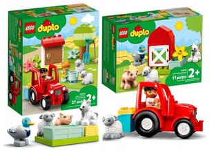 LEGO® Duplo konstruktorių rinkinys ir pliušinė pagalvė Katė цена и информация | Конструкторы и кубики | pigu.lt