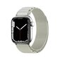 Hurtel Alpine Apple Watch 42|44|45|49 mm silver kaina ir informacija | Išmaniųjų laikrodžių ir apyrankių priedai | pigu.lt