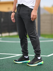 Спортивные брюки для мужчин Sportsman JX6205, серые цена и информация | Мужские термобрюки, темно-синие, SMA61007 | pigu.lt