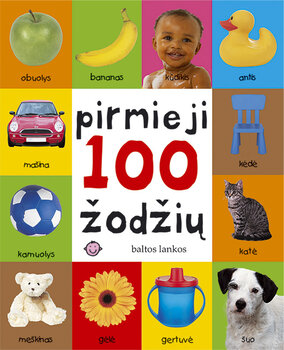 Pirmieji 100 žodžių kaina ir informacija | Knygos vaikams | pigu.lt