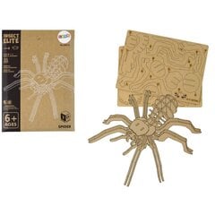 Medinė 3D voro erdvinė dėlionė Lean Toys, 31 d. kaina ir informacija | Dėlionės (puzzle) | pigu.lt