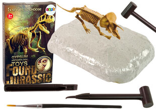 Archeologijos kasinėjimų rinkinys Dinozauro Trikeratopso skeletas Lean Toys kaina ir informacija | Lavinamieji žaislai | pigu.lt