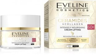 Intensyviai maitinamasis kremas Eveline Ceramides & Collagen 60+, 50 ml цена и информация | Кремы для лица | pigu.lt
