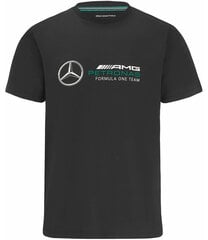 Детская футболка Mercedes AMG Petronas F1 2023 69214-23 цена и информация | Рубашки для мальчиков | pigu.lt