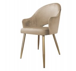 Kėdė Decorates Alex, auksinė kaina ir informacija | Virtuvės ir valgomojo kėdės | pigu.lt