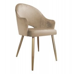 Kėdė Decorates Alex, auksinė kaina ir informacija | Virtuvės ir valgomojo kėdės | pigu.lt