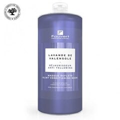 Geltonus atspalvius neutralizuojanti plaukų kaukė Fauvert Reflet, 1000 ml kaina ir informacija | Priemonės plaukų stiprinimui | pigu.lt