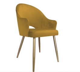 Kėdė Decorates Alex, geltona kaina ir informacija | Virtuvės ir valgomojo kėdės | pigu.lt
