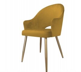 Kėdė Decorates Alex, geltona kaina ir informacija | Virtuvės ir valgomojo kėdės | pigu.lt