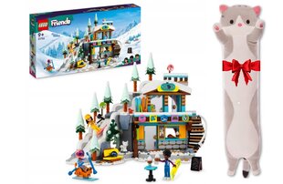1756 LEGO® Friends kaladėlių rinkinys ir pliušinė pagalvė Katė цена и информация | Конструкторы и кубики | pigu.lt