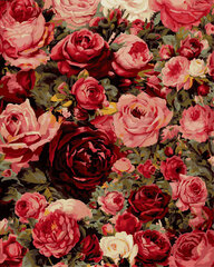 Tapyba pagal skaičius Rožių siena 40x50 cm kaina ir informacija | Tapyba pagal skaičius | pigu.lt