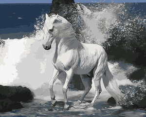 Tapyba pagal skaičius Baltas žirgas , 40x50 cm kaina ir informacija | Tapyba pagal skaičius | pigu.lt