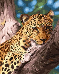 Tapyba pagal skaičius Leopardas atostogauja , 40x50 cm kaina ir informacija | Tapyba pagal skaičius | pigu.lt