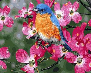 Tapyba pagal skaičius Pavasario paukštis 40x50 cm kaina ir informacija | Tapyba pagal skaičius | pigu.lt