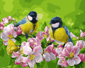 Tapyba pagal skaičius Geltoni paukščiai , 40x50 cm kaina ir informacija | Tapyba pagal skaičius | pigu.lt
