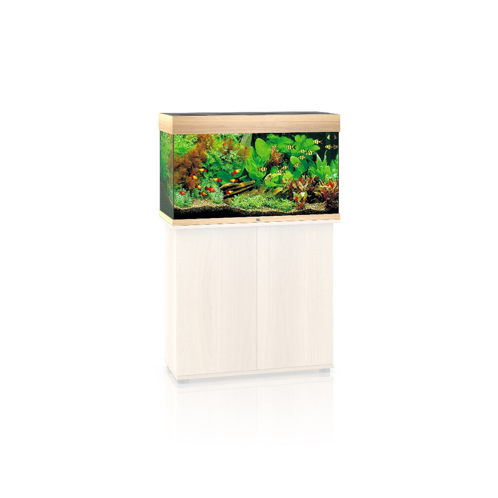 Akvariumas Juwel Rio LED 125l, šviesaus medžio, su įranga kaina ir informacija | Akvariumai ir jų įranga | pigu.lt