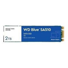 Western Digital WDS200T3B0B цена и информация | Внутренние жёсткие диски (HDD, SSD, Hybrid) | pigu.lt