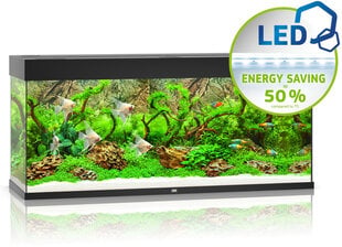 Akvariumas Juwel LED RIO 240l, juodas, su įranga цена и информация | Аквариумы и оборудование | pigu.lt